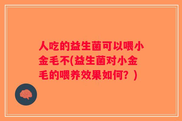 人吃的益生菌可以喂小金毛不(益生菌对小金毛的喂养效果如何?) 人吃的益生菌可以喂小金毛不(益生菌对小金毛的喂养效果如何?)