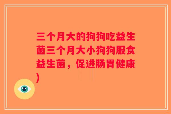 三个月大的狗狗吃益生菌三个月大小狗狗服食益生菌,促进肠胃健康) 三个月大的狗狗吃益生菌三个月大小狗狗服食益生菌,促进肠胃健康)