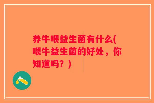 养牛喂益生菌有什么(喂牛益生菌的好处,你知道吗?) 养牛喂益生菌有什么(喂牛益生菌的好处,你知道吗?)