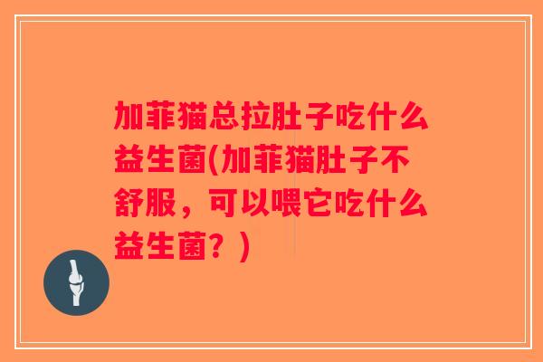 加菲猫总拉肚子吃什么益生菌(加菲猫肚子不舒服，可以喂它吃什么益生菌？)