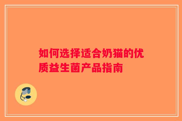 如何选择适合奶猫的优质益生菌产品指南