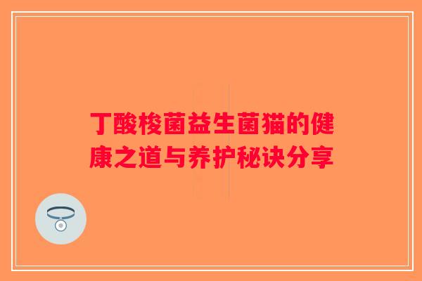 丁酸梭菌益生菌猫的健康之道与养护秘诀分享