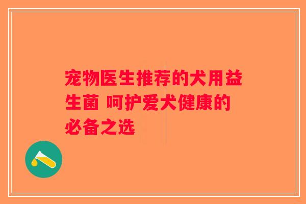 宠物医生推荐的犬用益生菌 呵护爱犬健康的必备之选