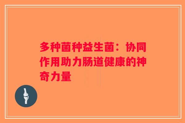 多种菌种益生菌：协同作用助力肠道健康的神奇力量