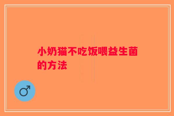 小奶猫不吃饭喂益生菌的方法