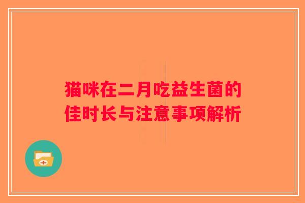 猫咪在二月吃益生菌的佳时长与注意事项解析