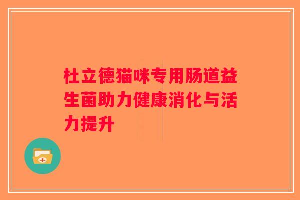 杜立德猫咪专用肠道益生菌助力健康消化与活力提升