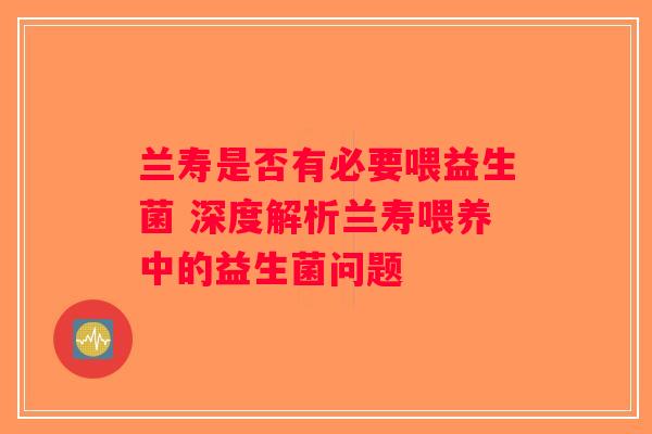 兰寿是否有必要喂益生菌 深度解析兰寿喂养中的益生菌问题