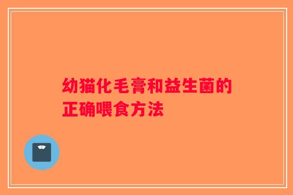 幼猫化毛膏和益生菌的正确喂食方法