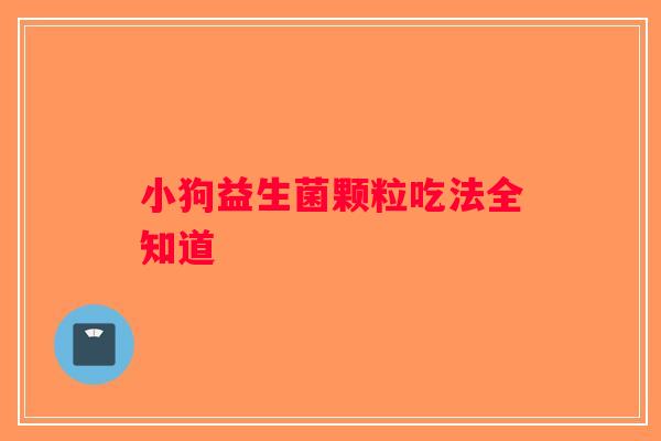 小狗益生菌颗粒吃法全知道