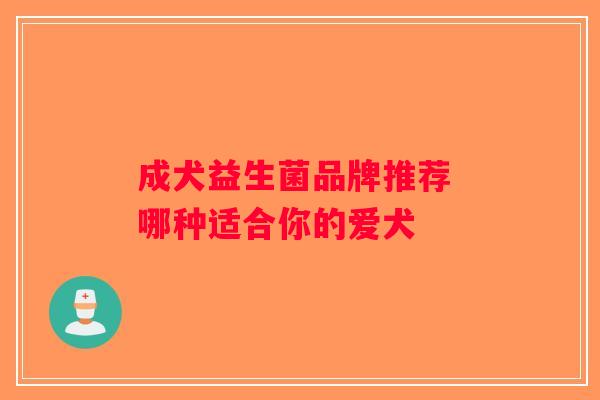成犬益生菌品牌推荐 哪种适合你的爱犬 成犬益生菌品牌推荐 哪种适合你的爱犬