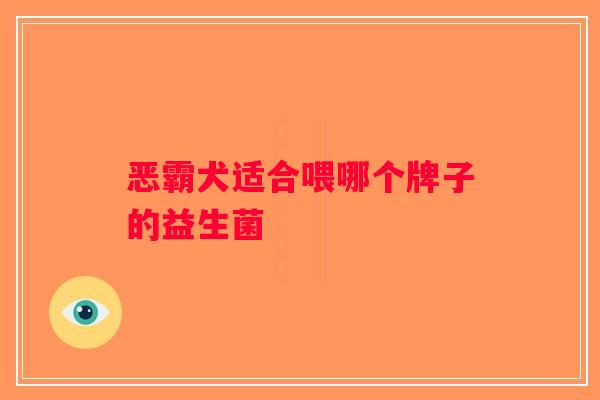恶霸犬适合喂哪个牌子的益生菌