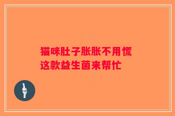 猫咪肚子胀胀不用慌 这款益生菌来帮忙