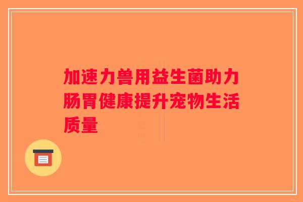 加速力兽用益生菌助力肠胃健康提升宠物生活质量 加速力兽用益生菌助力肠胃健康提升宠物生活质量