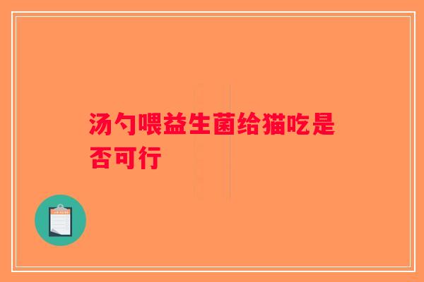汤勺喂益生菌给猫吃是否可行 汤勺喂益生菌给猫吃是否可行