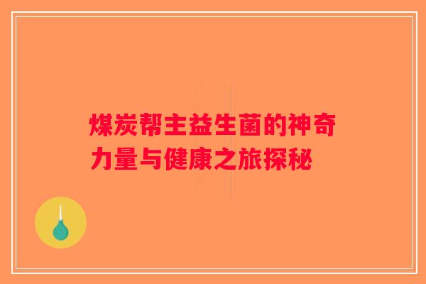 煤炭帮主益生菌的神奇力量与健康之旅探秘