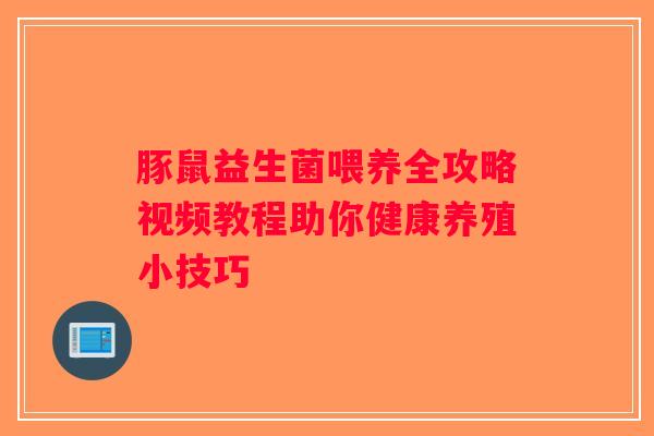 豚鼠益生菌喂养全攻略视频教程助你健康养殖小技巧