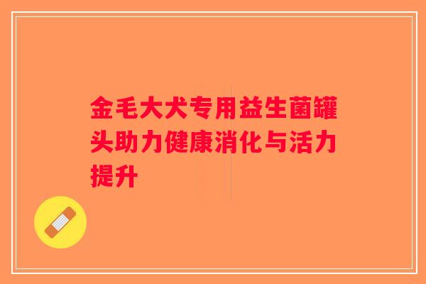 金毛大犬专用益生菌罐头助力健康消化与活力提升
