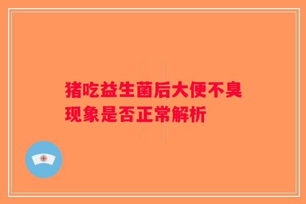 猪吃益生菌后大便不臭现象是否正常解析 猪吃益生菌后大便不臭现象是否正常解析