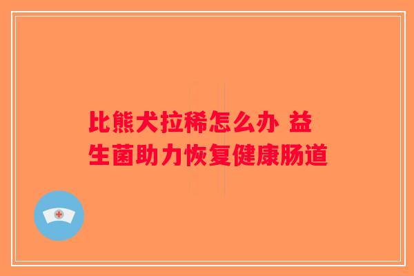 比熊犬拉稀怎么办 益生菌助力恢复健康肠道 比熊犬拉稀怎么办 益生菌助力恢复健康肠道