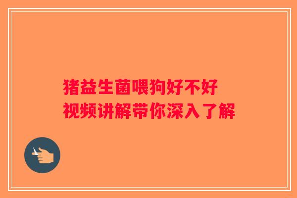 猪益生菌喂狗好不好 视频讲解带你深入了解