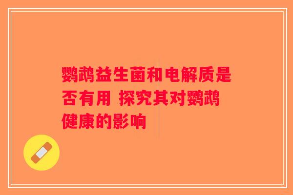 鹦鹉益生菌和电解质是否有用 探究其对鹦鹉健康的影响