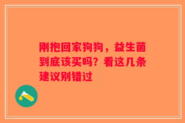 刚抱回家狗狗,益生菌到底该买吗?看这几条建议别错过 刚抱回家狗狗,益生菌到底该买吗?看这几条建议别错过