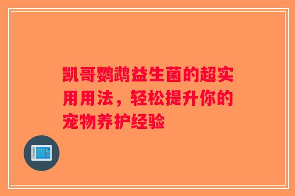 凯哥鹦鹉益生菌的超实用用法，轻松提升你的宠物养护经验