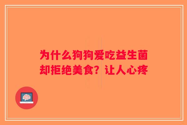 为什么狗狗爱吃益生菌却拒绝美食？让人心疼