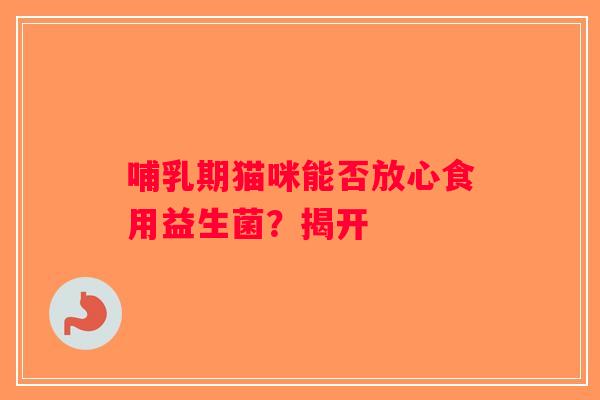哺乳期猫咪能否放心食用益生菌？揭开