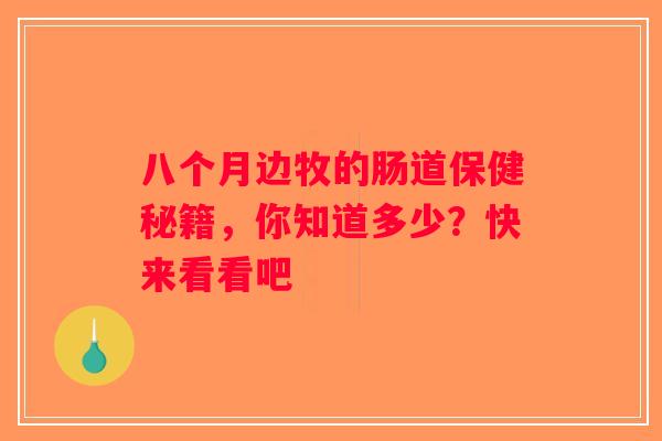 八个月边牧的肠道保健秘籍,你知道多少?快来看看吧 八个月边牧的肠道保健秘籍,你知道多少?快来看看吧
