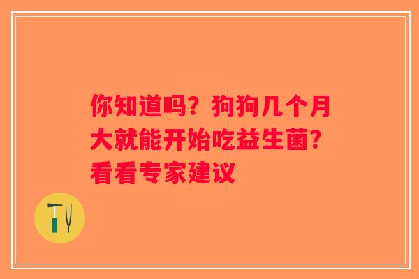 你知道吗？狗狗几个月大就能开始吃益生菌？看看专家建议