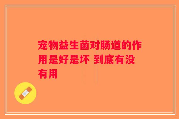 宠物益生菌对肠道的作用是好是坏 到底有没有用