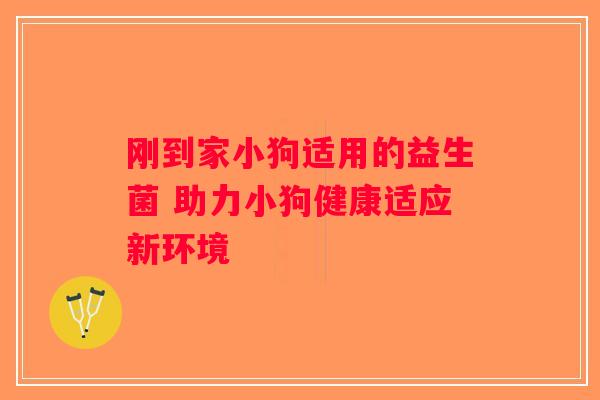 刚到家小狗适用的益生菌 助力小狗健康适应新环境