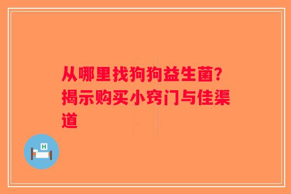 从哪里找狗狗益生菌？揭示购买小窍门与佳渠道
