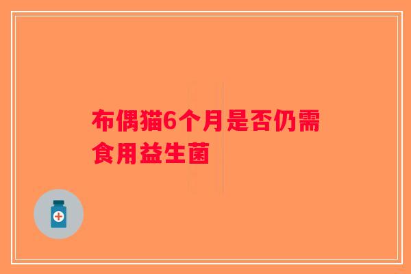 布偶猫6个月是否仍需食用益生菌