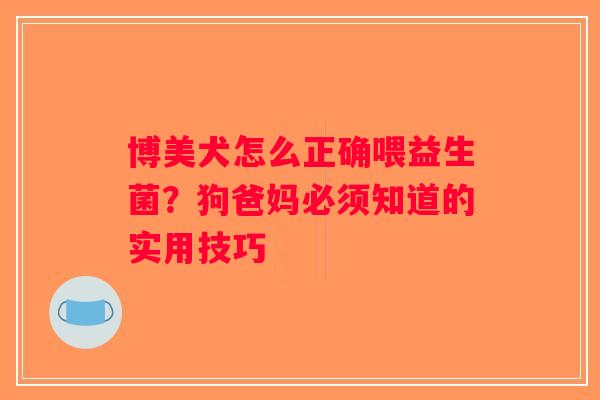 博美犬怎么正确喂益生菌？狗爸妈必须知道的实用技巧