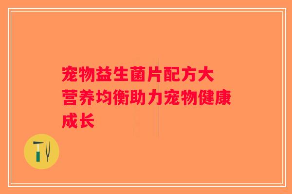 宠物益生菌片配方大 营养均衡助力宠物健康成长
