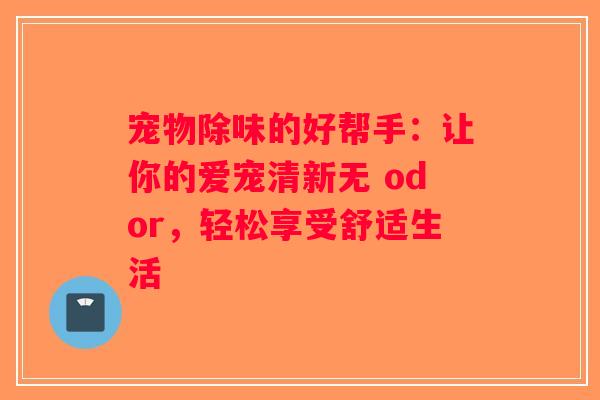 宠物除味的好帮手：让你的爱宠清新无 odor，轻松享受舒适生活