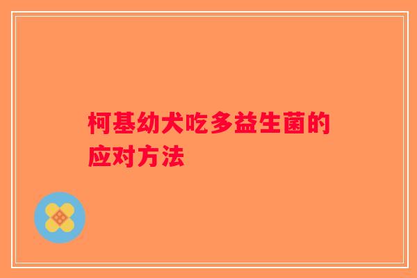 柯基幼犬吃多益生菌的应对方法