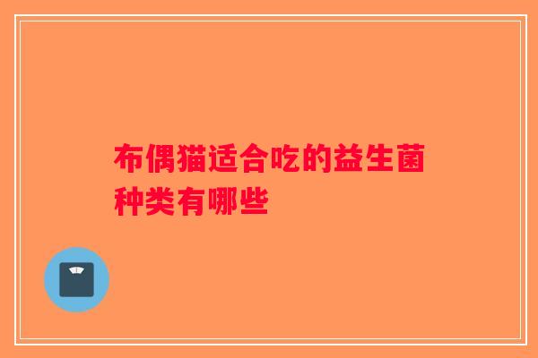 布偶猫适合吃的益生菌种类有哪些