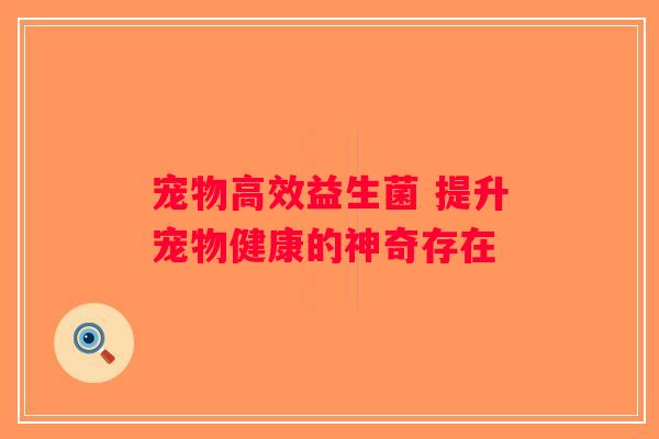 宠物高效益生菌 提升宠物健康的神奇存在