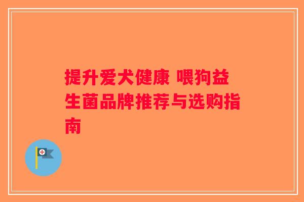 提升爱犬健康 喂狗益生菌品牌推荐与选购指南