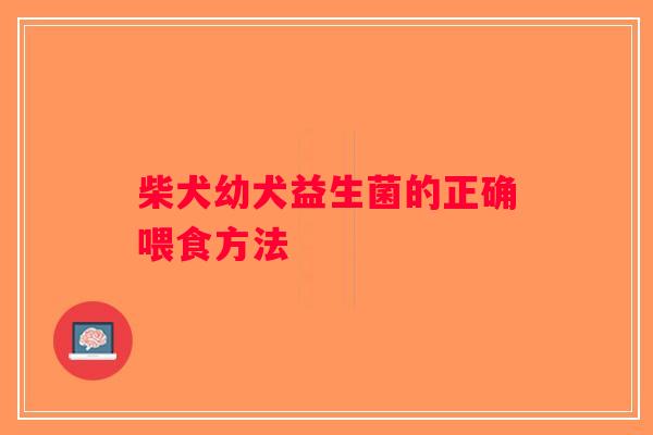 柴犬幼犬益生菌的正确喂食方法