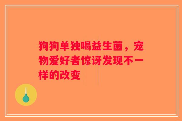 狗狗单独喝益生菌，宠物爱好者惊讶发现不一样的改变