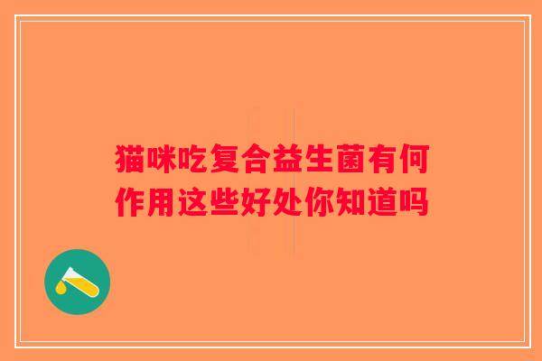 猫咪吃复合益生菌有何作用这些好处你知道吗