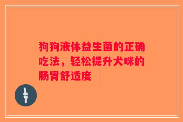 狗狗液体益生菌的正确吃法，轻松提升犬咪的肠胃舒适度