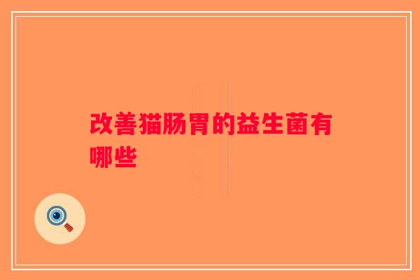 改善猫肠胃的益生菌有哪些