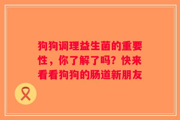 狗狗调理益生菌的重要性，你了解了吗？快来看看狗狗的肠道新朋友