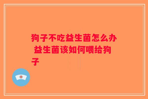 狗子不吃益生菌怎么办 益生菌该如何喂给狗子